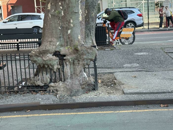 Wait… Trees Actually Munch On Stuff?! You Have To See This!