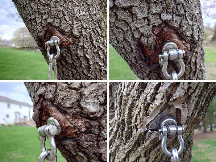 Wait… Trees Actually Munch On Stuff?! You Have To See This!