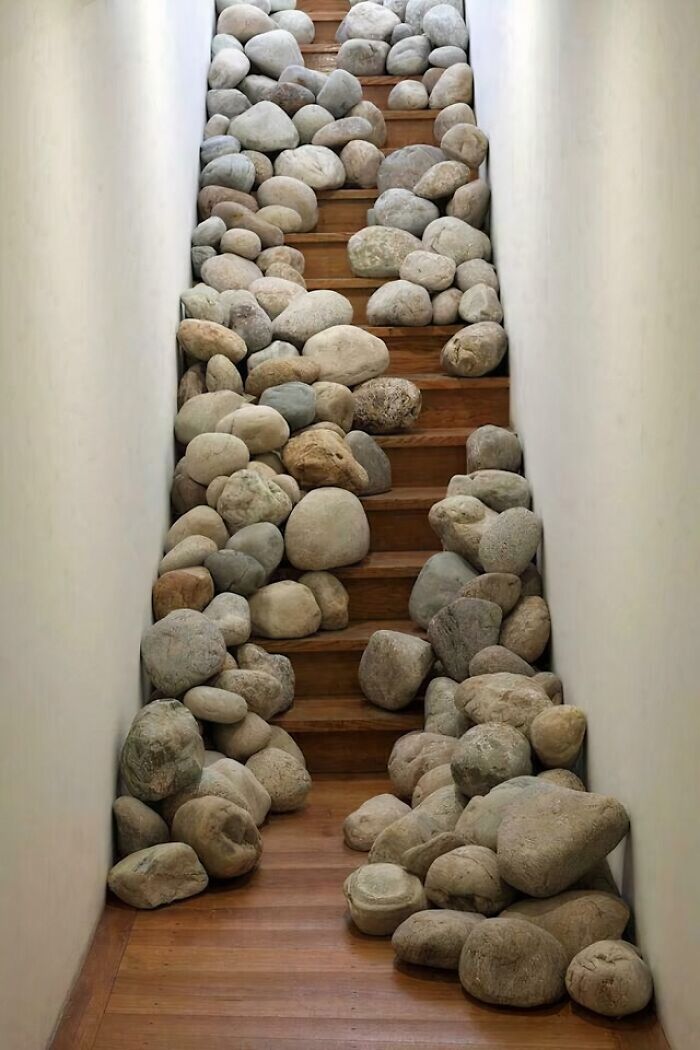Plants, Rocks, and Questionable Staircases