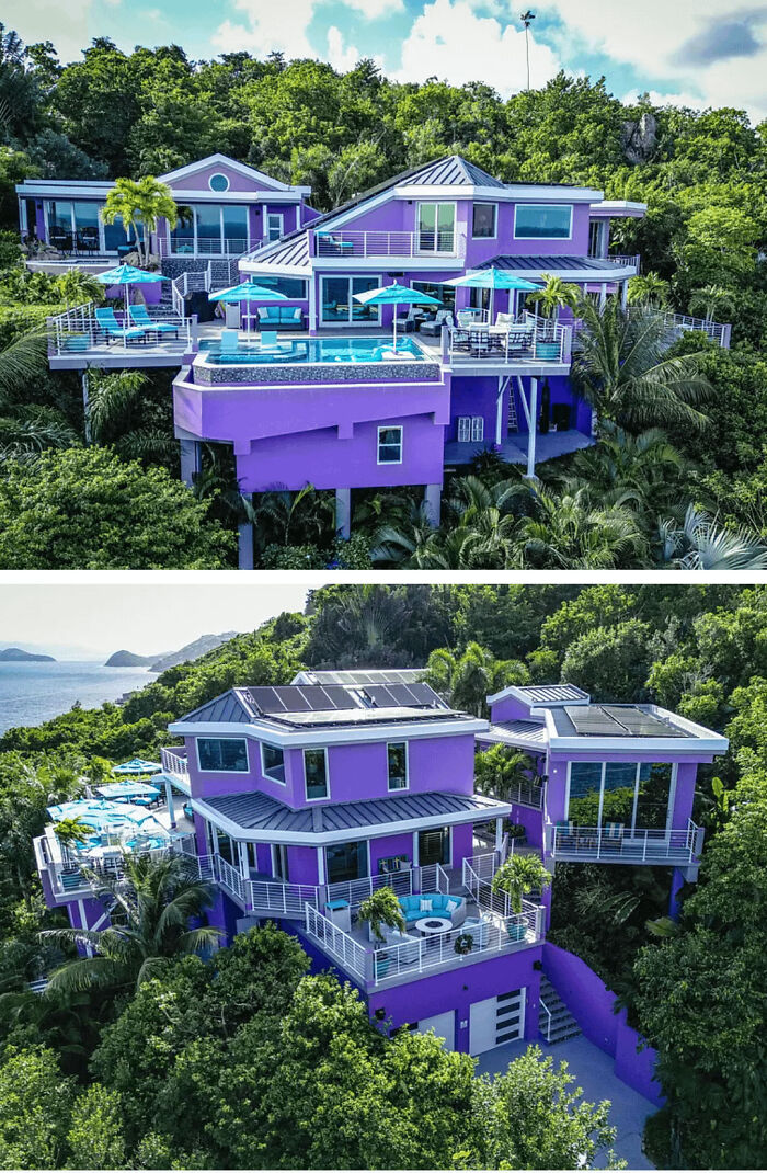 Millennial Grey? Try People-Eater Purple!