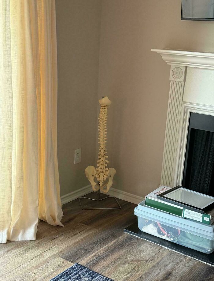 Wait, People Really Decorate Like This?! 40+ Hilarious Home Fails You Gotta See