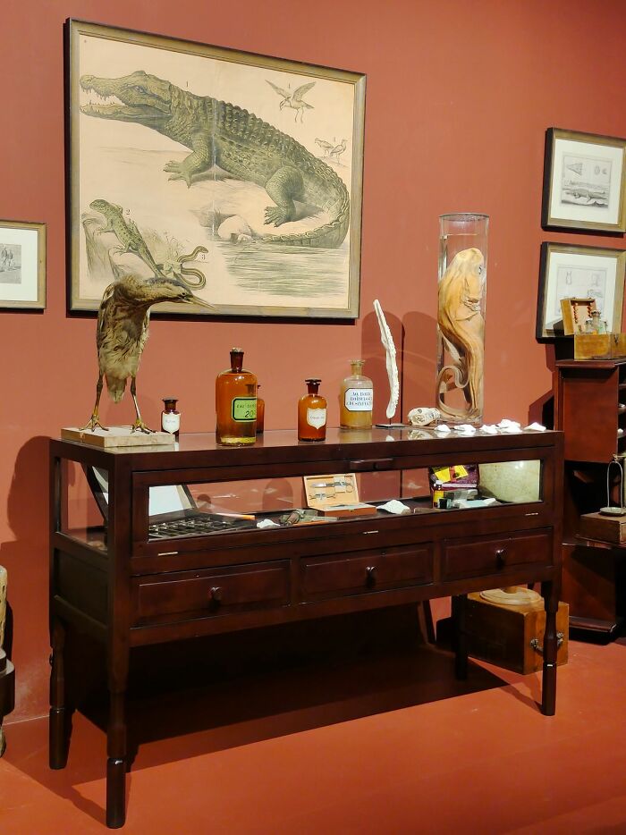 Wait, Museum Workers Spill The Wildest Behind-The-Scenes Stories!
