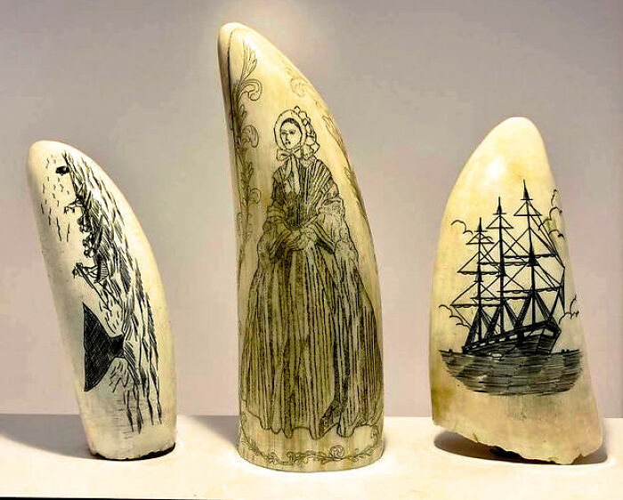 Wait, Museum Workers Spill The Wildest Behind-The-Scenes Stories!