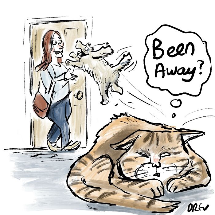 40 Single-Panel Cartoons That Make Everyday Stuff Hilarious