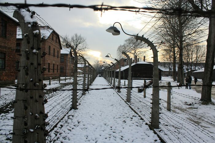42 Wild WWII Stories Your Grandparents Probably Never Told You