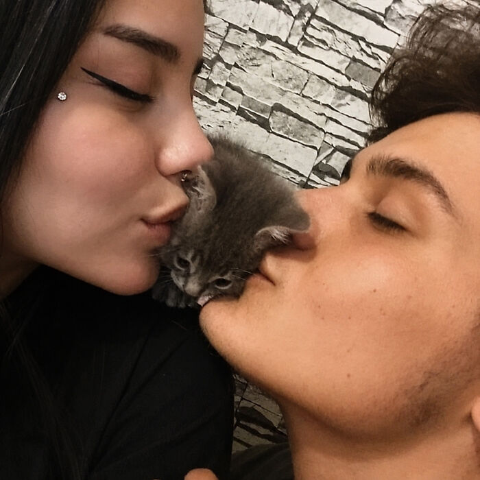 30 Cat Pics That Prove Cats Are The Secret Rulers Of The Internet