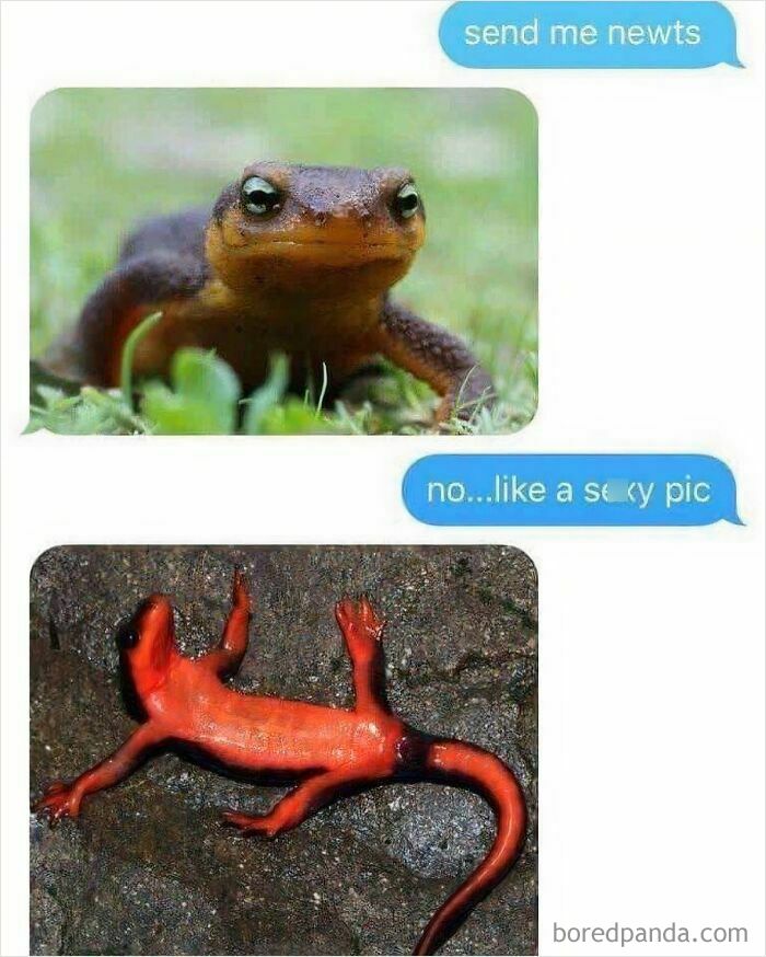 Fell Right Into That Trap!