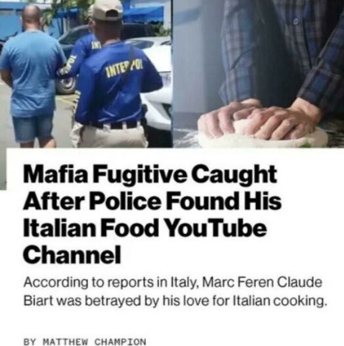 Wait, People Actually Shared Their Dumbest Moments Online?!