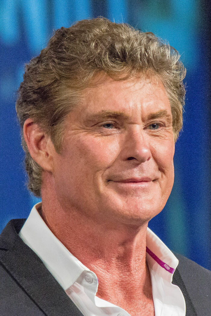 David Hasselhoff: The TV Guy Who’s Basically Everywhere, 74