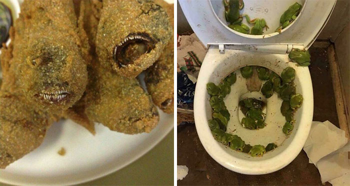These 73 Weirdly Cursed Pics Will Make You Look Twice (Maybe Thrice)