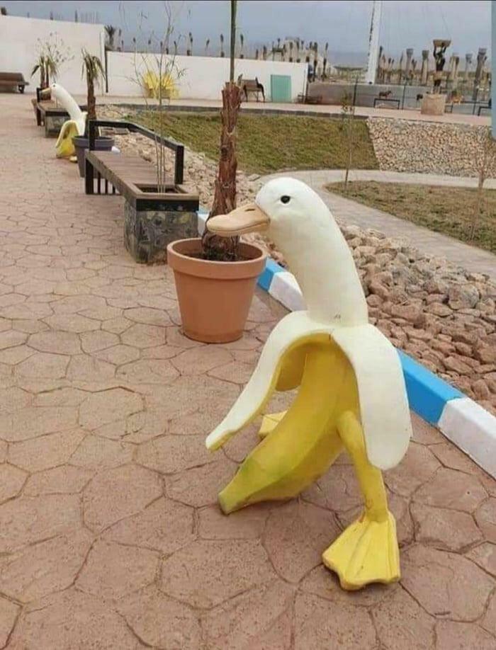 Algeria’s Parks Have Some... Unique Playground Buddies