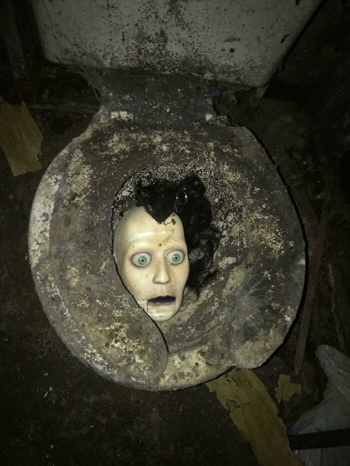 Contractor Finds Basement Bathroom Surprise (Spoiler: It’s Weird)