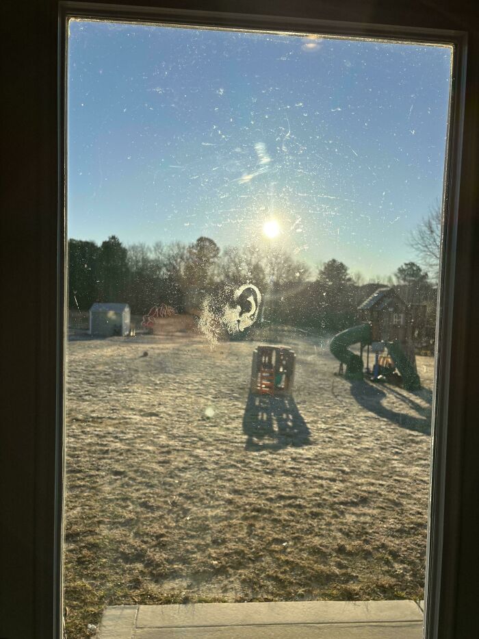 Woke Up To An Earprint On My Back Door... Yep, Time For Cameras