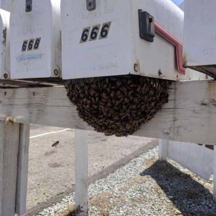 Nope, It’s YOUR Turn To Get The Mail (Says This Creepy Statue)