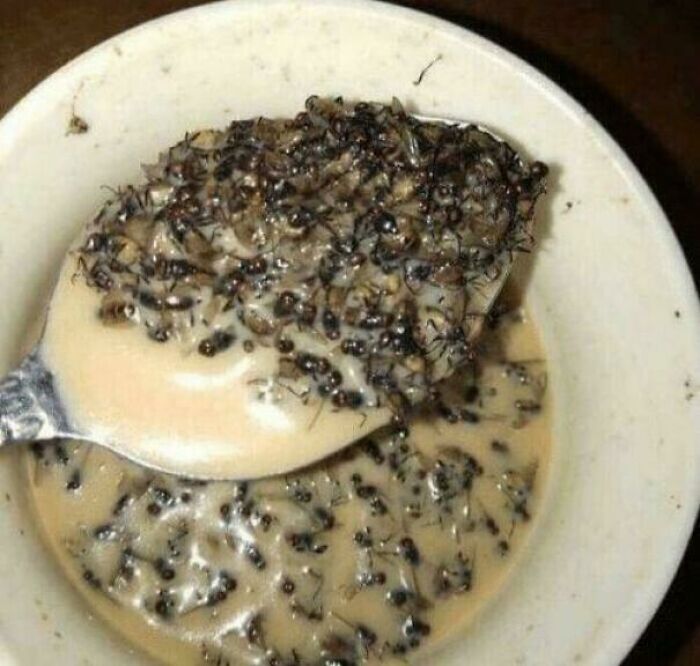 Soup? Or Summoned Spirits? You Decide
