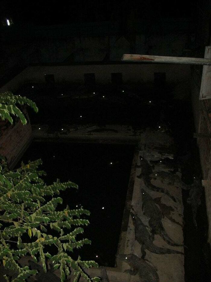 Backyard Or Secret Lair? You Tell Me