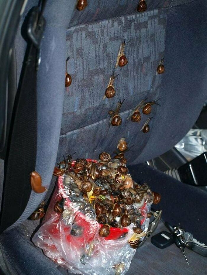 The Seat That’s Definitely Watching You