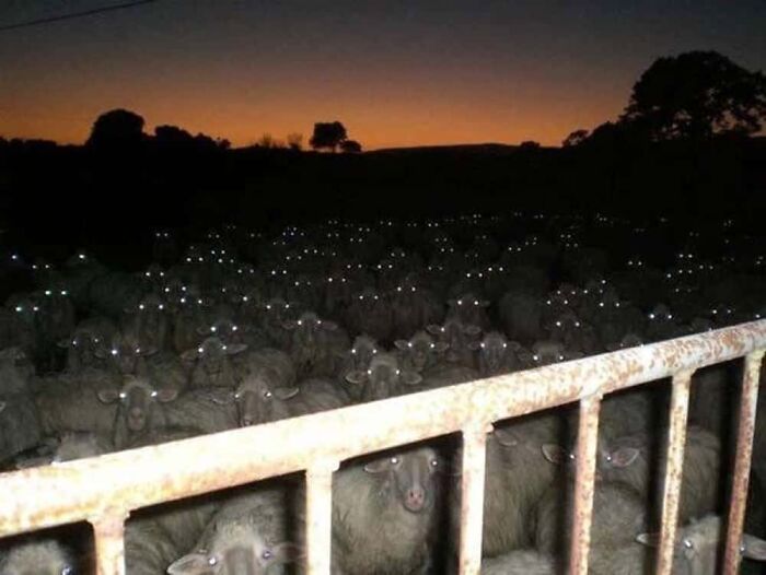 Are They Still There? Don’t Look Back