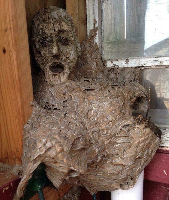 Hornet’s Nest And Wooden Statue Mashup From The Depths Of Your Nightmares