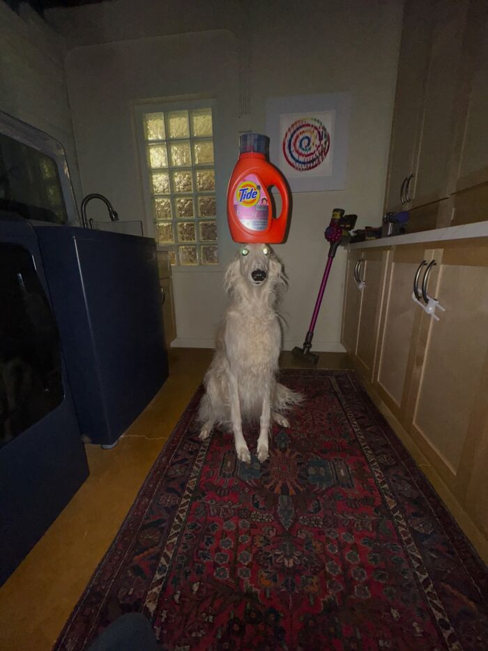 Simply Cursed (No Room For Discussion)