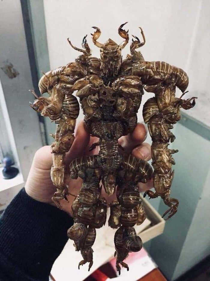 These 73 Weirdly Cursed Pics Will Make You Look Twice (Maybe Thrice)