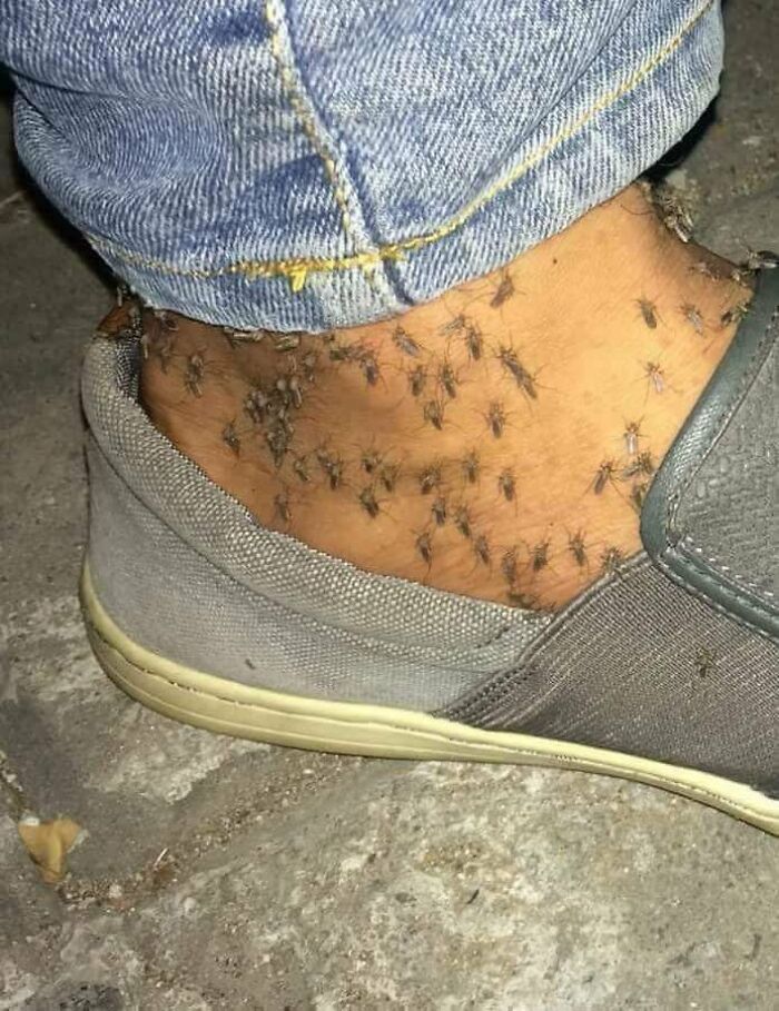 These 73 Weirdly Cursed Pics Will Make You Look Twice (Maybe Thrice)