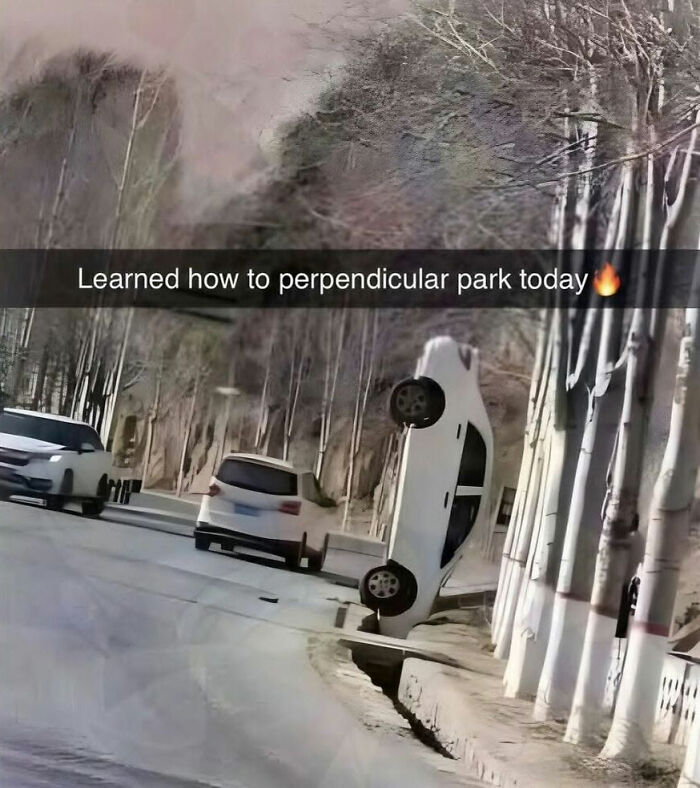 Parking Fails So Wild You'll Say, "Wait, They Parked Where?!"