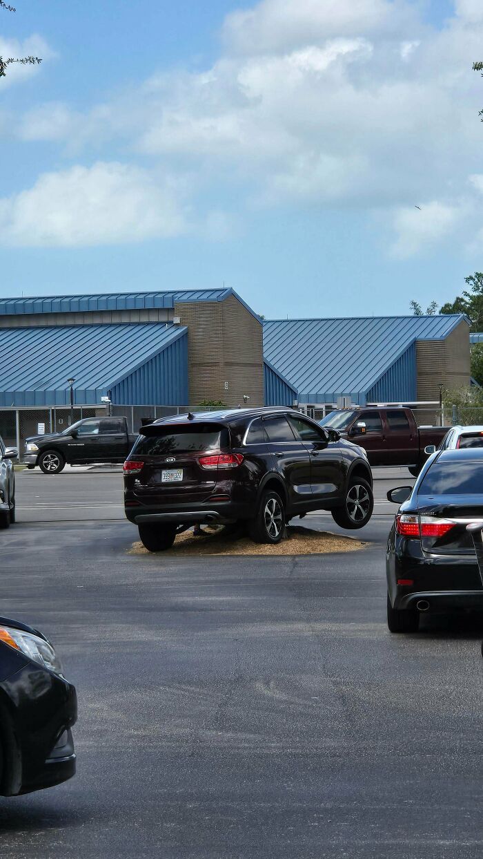 Parking Fails So Wild You'll Say, "Wait, They Parked Where?!"