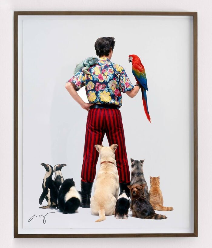 Ace Ventura Flips the Script (and the Canvas)