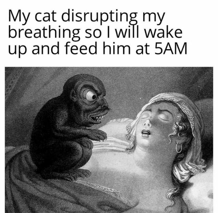 Wait, They Made Mythology Memes?! Yes, And They're Hilarious!