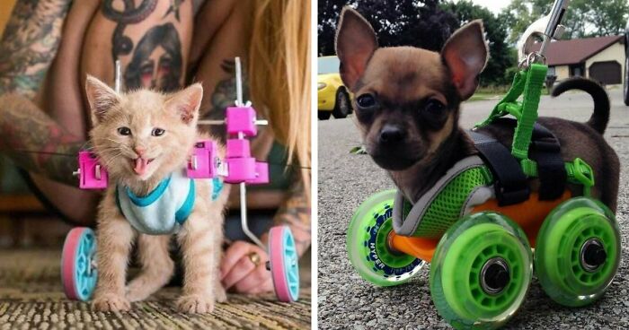 Wait Till You See What People 3D Printed – These Will Totally Blow Your Mind