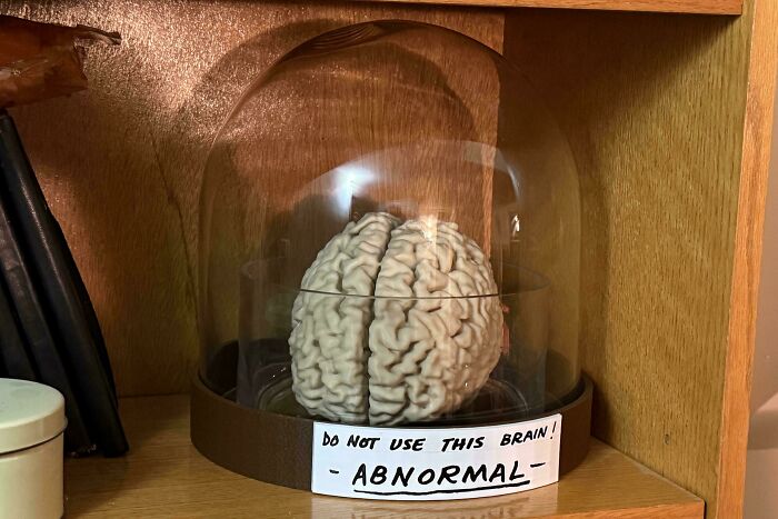 Wait Till You See What People 3D Printed – These Will Totally Blow Your Mind
