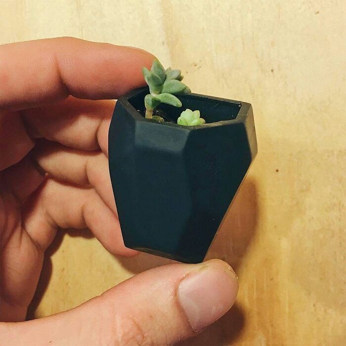Wait Till You See What People 3D Printed – These Will Totally Blow Your Mind