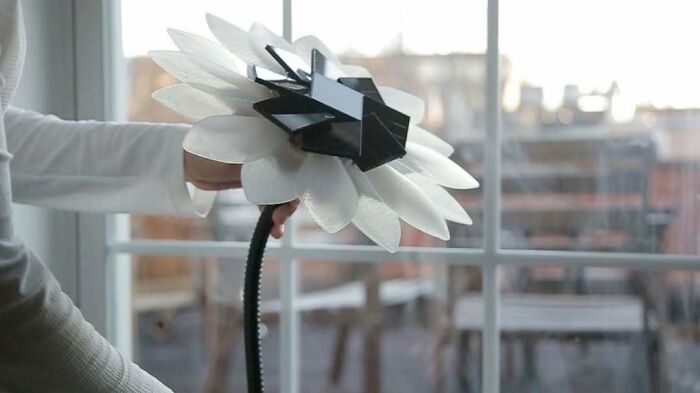 Wait Till You See What People 3D Printed – These Will Totally Blow Your Mind