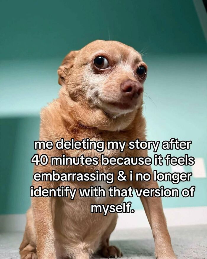 Let's Dive Into These Hilariously Real Girly Memes!