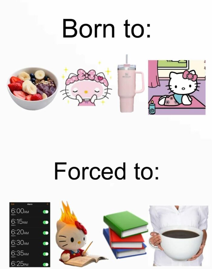 Let's Dive Into These Hilariously Real Girly Memes!