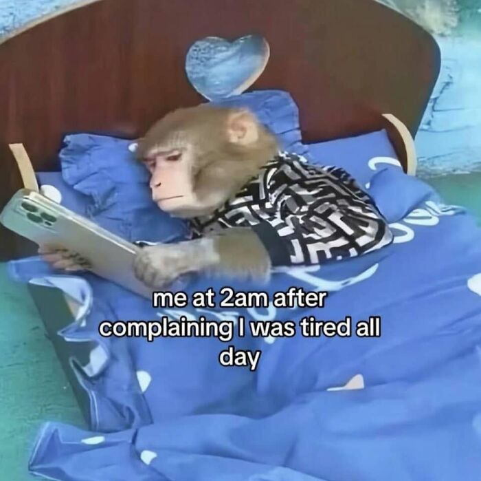Let's Dive Into These Hilariously Real Girly Memes!