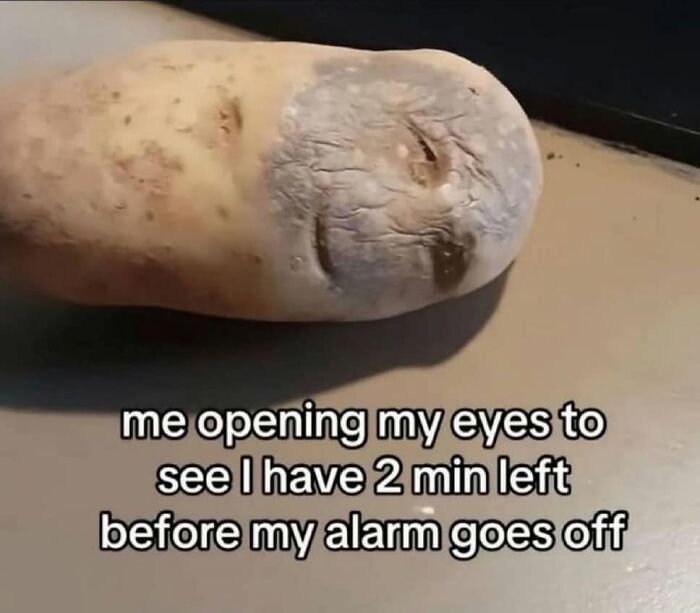 Let's Dive Into These Hilariously Real Girly Memes!