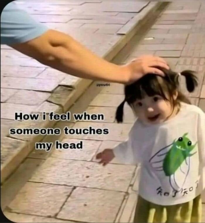 Let's Dive Into These Hilariously Real Girly Memes!
