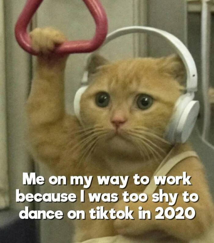 Let's Dive Into These Hilariously Real Girly Memes!