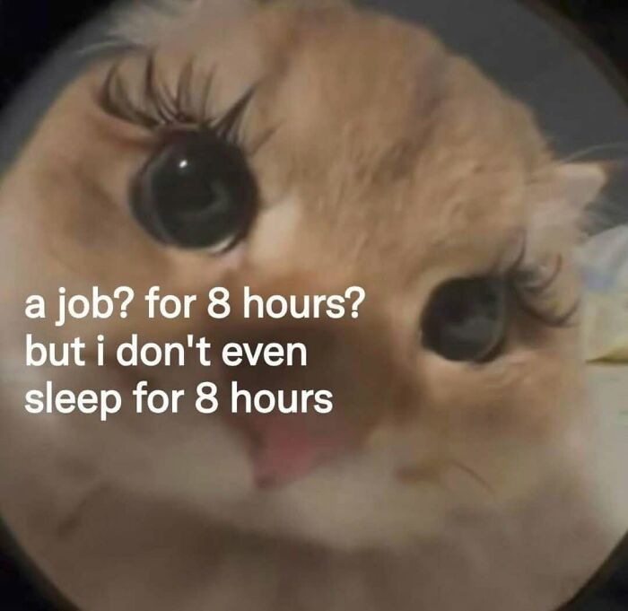 Let's Dive Into These Hilariously Real Girly Memes!