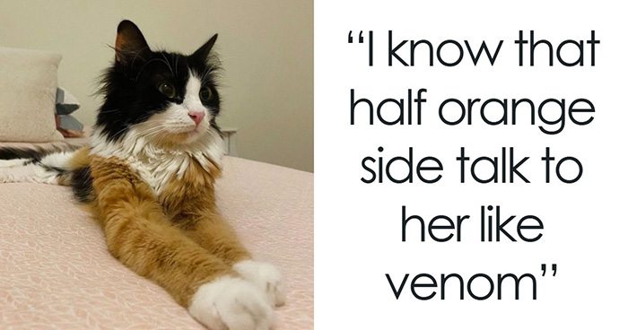 These 87 Screenshots Prove Social Media Isn’t Just a Drama Pit