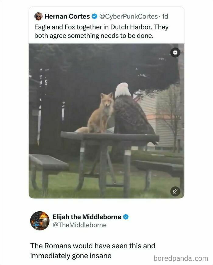 These 87 Screenshots Prove Social Media Isn’t Just a Drama Pit