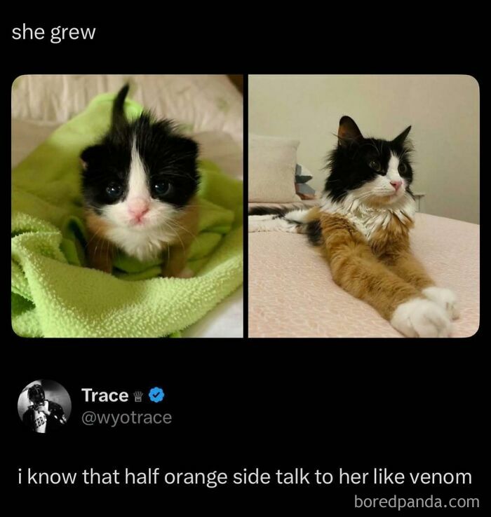 These 87 Screenshots Prove Social Media Isn’t Just a Drama Pit