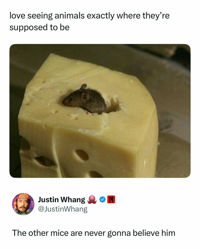 These 87 Screenshots Prove Social Media Isn’t Just a Drama Pit