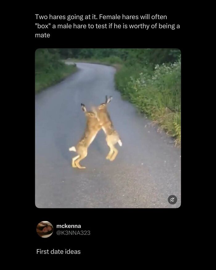 These 87 Screenshots Prove Social Media Isn’t Just a Drama Pit
