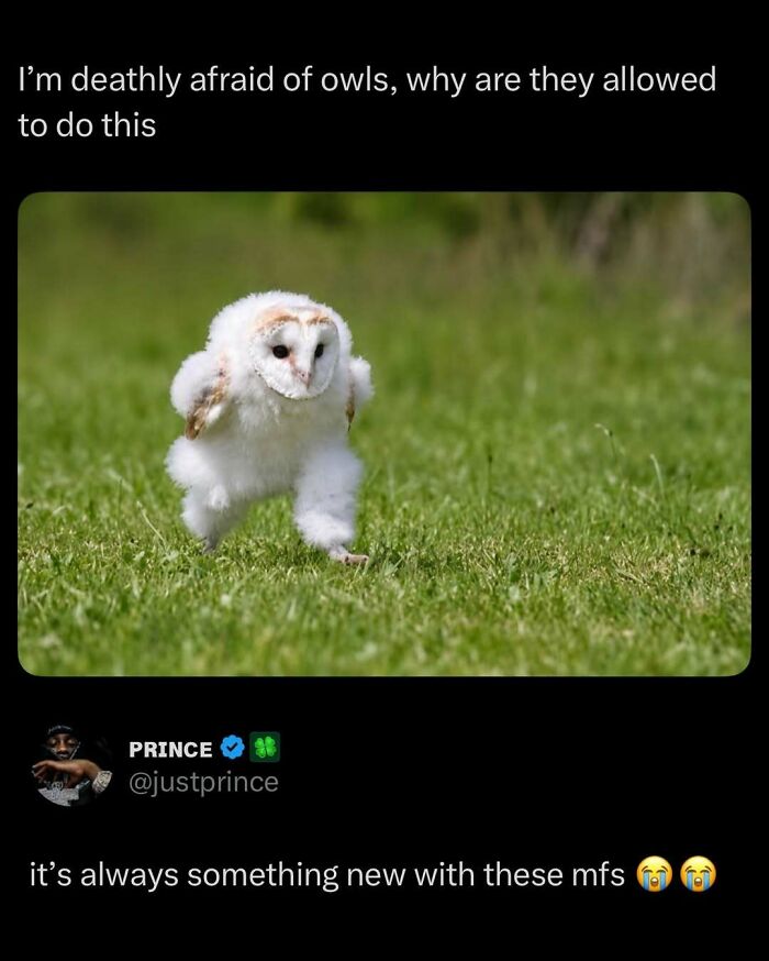 These 87 Screenshots Prove Social Media Isn’t Just a Drama Pit