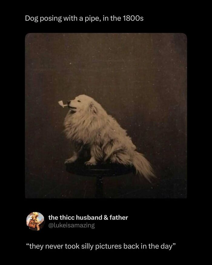 These 87 Screenshots Prove Social Media Isn’t Just a Drama Pit