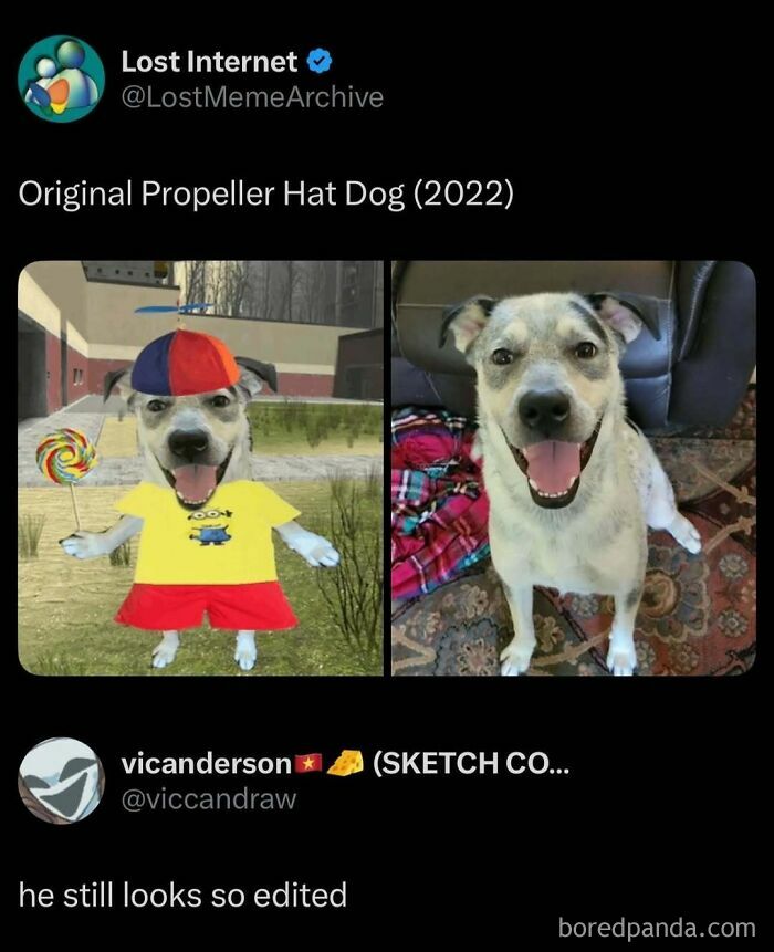 These 87 Screenshots Prove Social Media Isn’t Just a Drama Pit