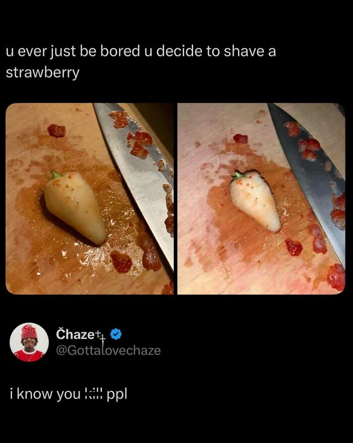 These 87 Screenshots Prove Social Media Isn’t Just a Drama Pit